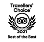 travelers choice top 25 for hotel service 2021 badge