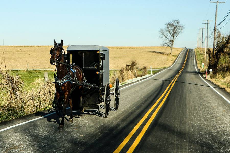 Amish buggy going down a road in Lancaster County, PA