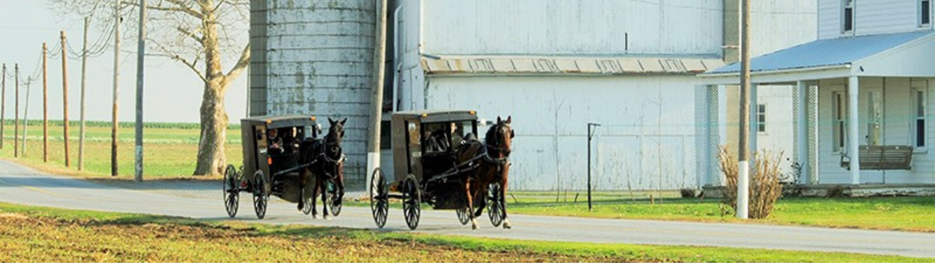 Amish Buggies in Lancaster County