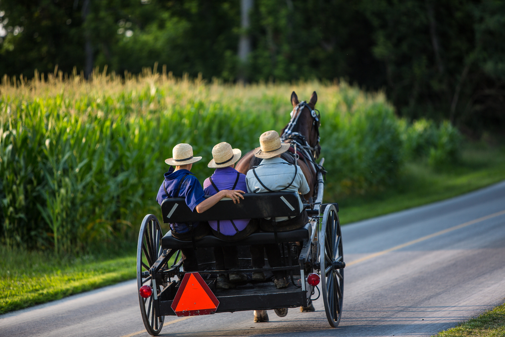 Amish Transportation