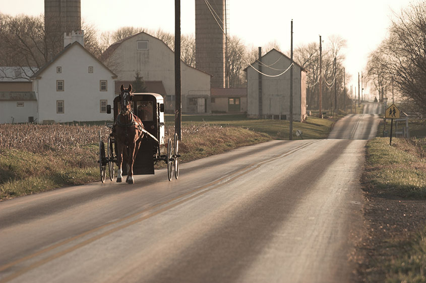 Amish Horse and Buggy Rides