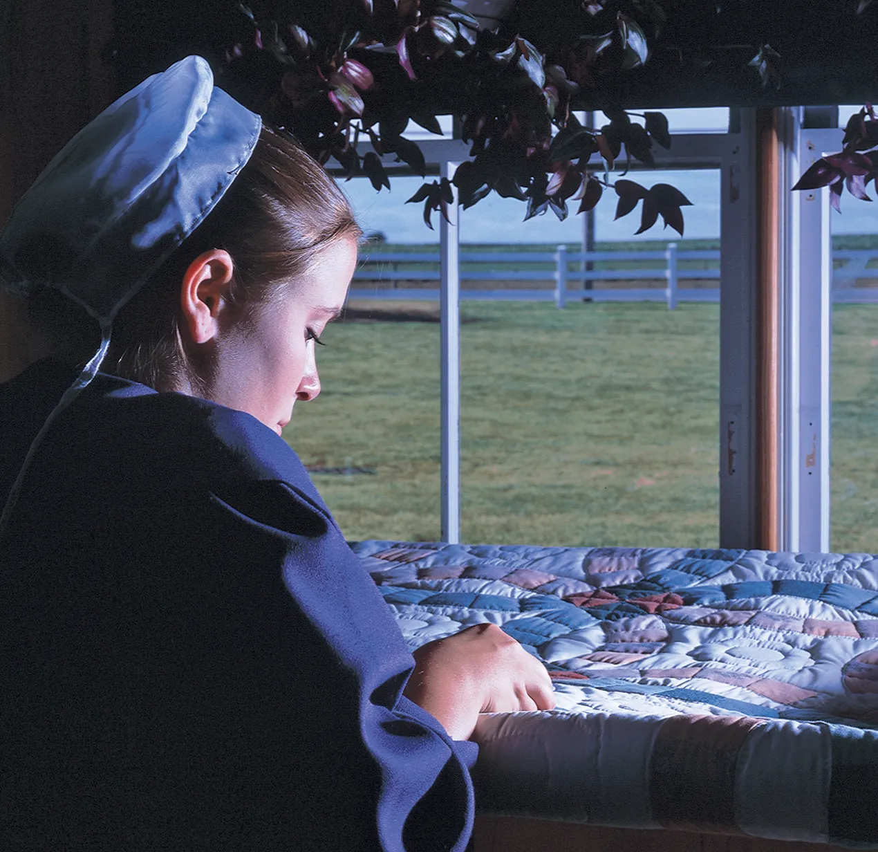Amish Quilting in Window