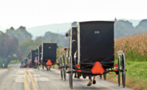 caravan of amish buggies going down a Lancaster, PA road