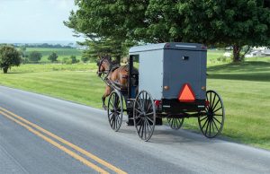 Horse & buggy going down a Lancaster PA road