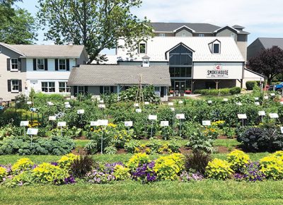 the vegetable garden in front of Smokehouse BBQ and Brews at AmishView Inn & Suites