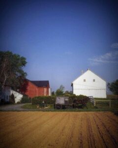view of amish farm