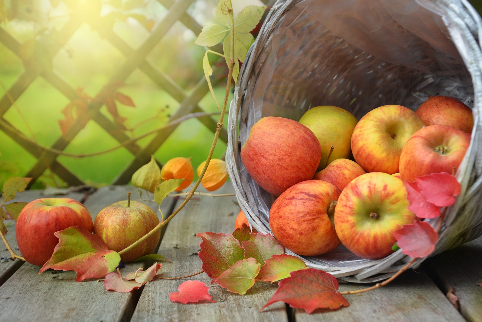Fall and Apples in Lancaster County