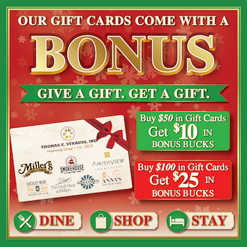 Holiday Gift Card Offer for AmishView
